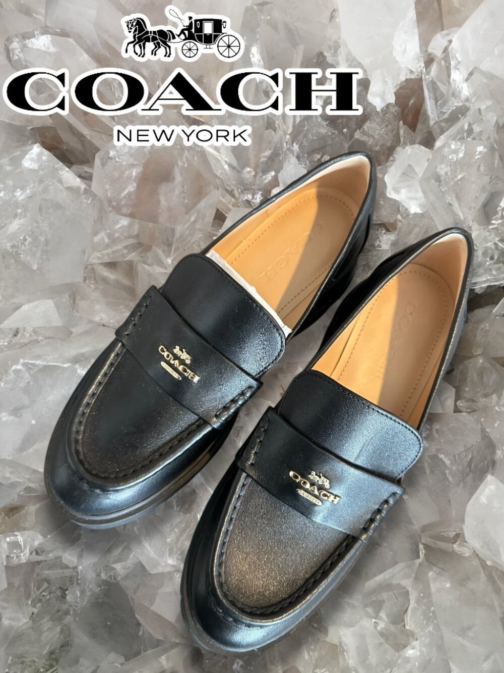 Coach Ruthie Leather Platform Loafer
